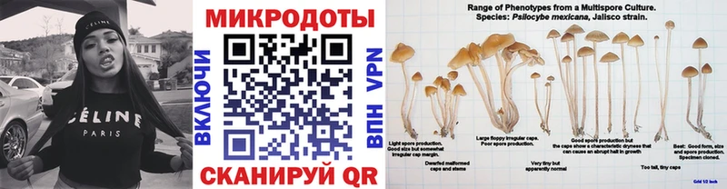 мега как зайти  Колпашево  Галлюциногенные грибы MAGIC MUSHROOMS 